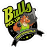 Bulls Pick Up And Removals