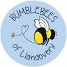 Bumblebees of Llandovery