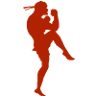 Burke's Martial Arts