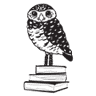 Burrowing Owl Books