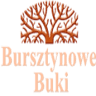 Willa Bursztynowe Buki