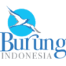 Burung Indonesia Sumba