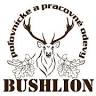 Janka Mišenková - BUSHLION