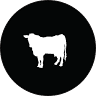 The Butchery