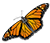 Butterfly Ridge Butterfly Conservation Center