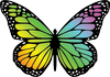 Butterfly Beach