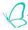 Batchelor Butterflyfarm