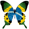 Butterfly House