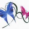 Butterfly Moments - Francoise (Romee) Gouges, Celebrant