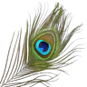 Butterflyoga
