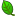 Buttonswood