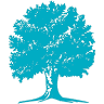 Buttonwood Books and Toys