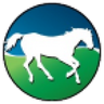 Bluegrass Realty and Investments