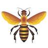 Buzz Landscaping