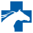 Brazos Valley Equine Hospitals