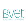 Bvet - Consultório Veterinário