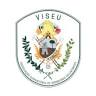 Volunteers firefighters Viseu