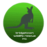Bridgetown Wildlife Rescue Inc