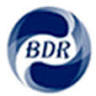 Bydesigningroom.com