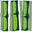 Byron Bay Bamboo