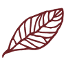 C.Cigars e.K.