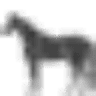 Cabalgatas