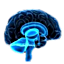 Dr. Diana Muntean - neurologist