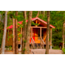 Cabins in the Thicket
