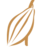 Cacaoté 