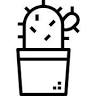 Agroideas, Vivero de Cactus y Suculentas