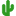 Cactus Tours