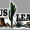 Cactus Leasing
