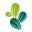 Cactus Toni Moreno Terreno Cas Perets