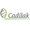 Cadilak - stacja demontażu pojazdów