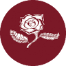 Cafe Rosa Blanca Organic Coffee Farm