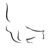 California Audio Technology