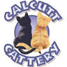 Calcutt Cattery