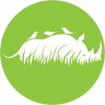 Caldwell Zoo