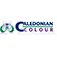 Caledonian Colour