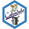 Calendula