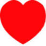 The Heart Medical Group