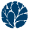 The Calli Institute