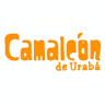Chameleon Community Theater Urabá