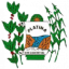 Câmara Municipal de Platina