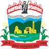 Câmara de Vereadores São Vendelino