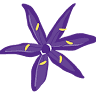 Camas Designs