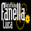 cambiautomatici-fanellaluca.it