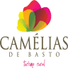 Casa do Pioledo - Camélias de Basto