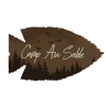 Camp Au Sable