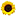 Camping Les Tournesols de Beaulieu